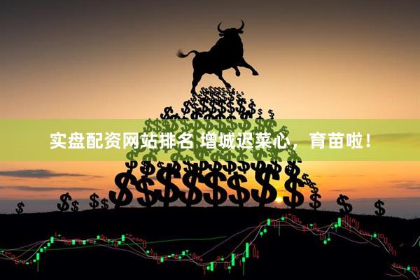 实盘配资网站排名 增城迟菜心，育苗啦！