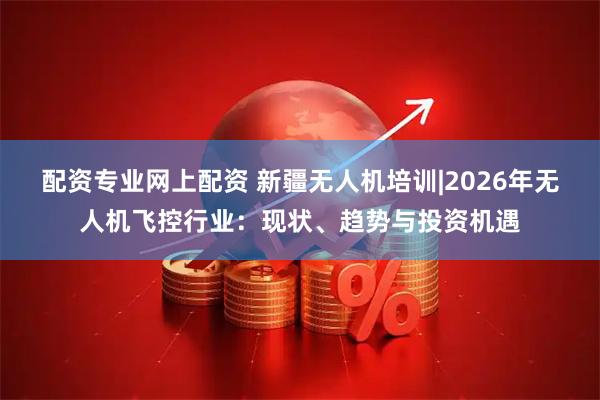 配资专业网上配资 新疆无人机培训|2026年无人机飞控行业:现状、趋势与投资机遇